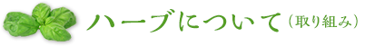 ハーブについて